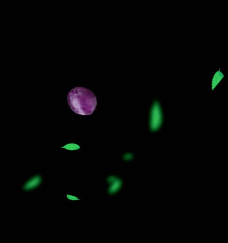 Кальян с доставкой