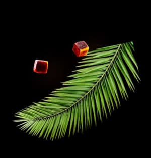 Кальян с доставкой